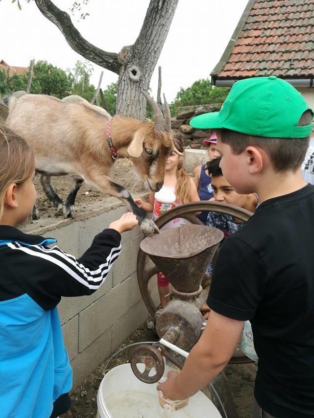 Bari Tanya 호텔 Kisnána 외부 사진